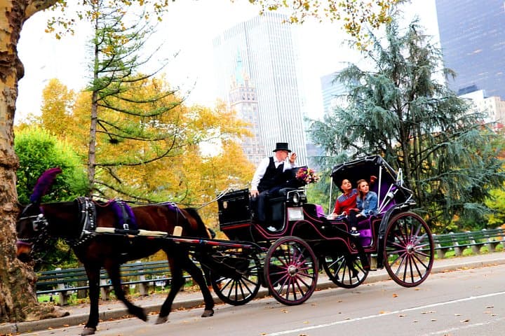 Central Park Short Horse Carriage Loop — 20-Minute Ride from 59th & 6th