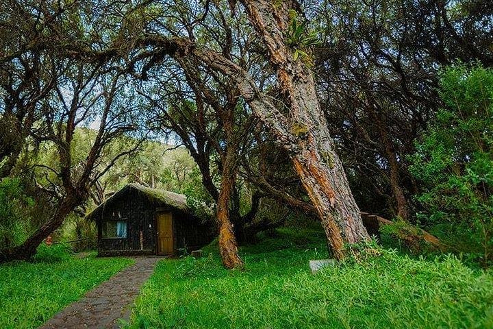 El Ángel & Cuicocha: 2-Day Private Highlands Tour from Quito or Otavalo photo 4