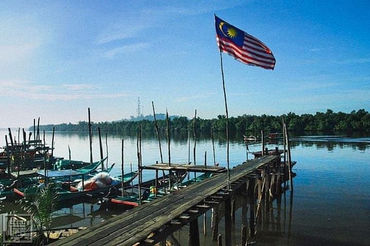 Kuala Selangor Fireflies River Ride & Seafood Dinner from Kuala Lumpur photo 3