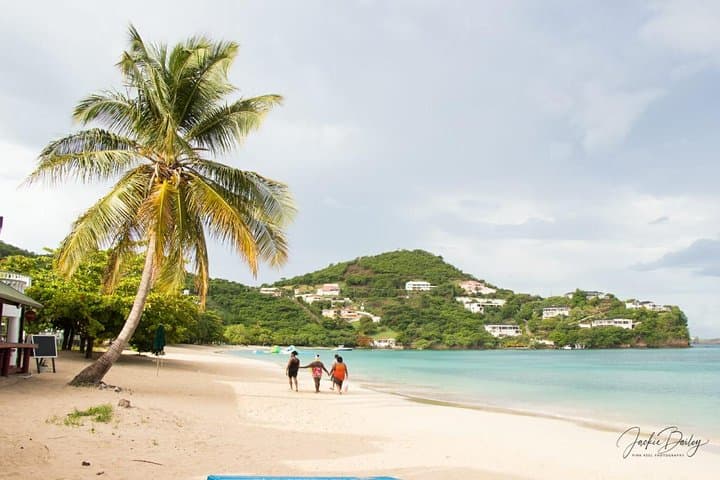 Grenada Express Tour: Annandale Falls, Fort Frederick, Rum Distillery & Grand Anse Beach