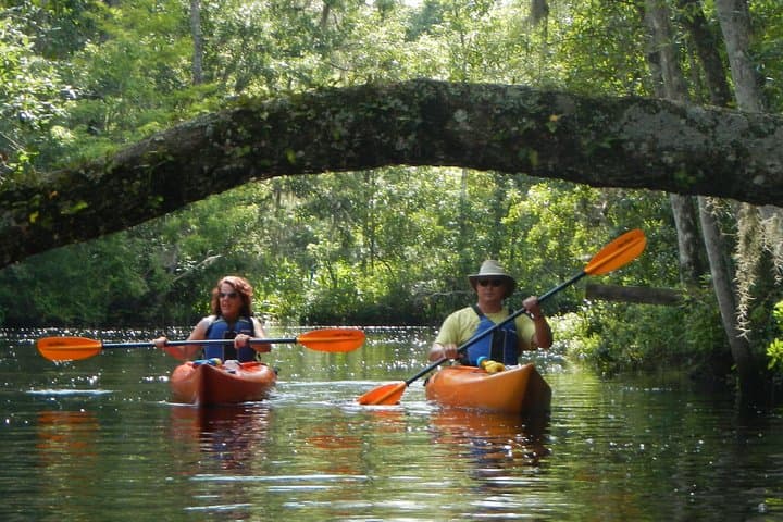 Lofton Creek Kayaking: Guided Paddle Through Northeast Florida's Tidal Creeks