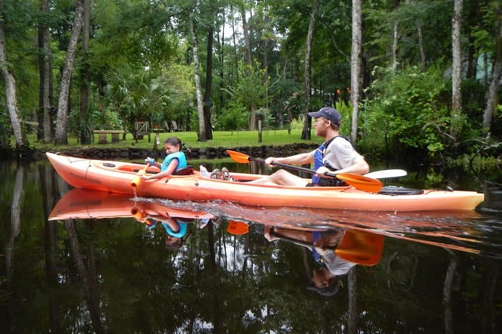 Lofton Creek Kayaking: Guided Paddle Through Northeast Florida's Tidal Creeks photo 2