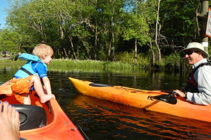 Lofton Creek Kayaking: Guided Paddle Through Northeast Florida's Tidal Creeks photo 4