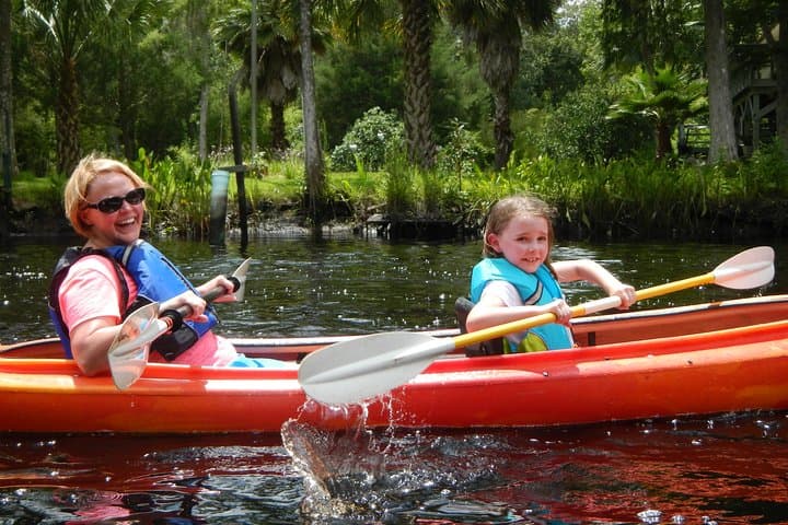Lofton Creek Kayaking: Guided Paddle Through Northeast Florida's Tidal Creeks photo 5