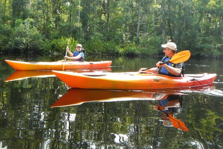 Lofton Creek Kayaking: Guided Paddle Through Northeast Florida's Tidal Creeks photo 6