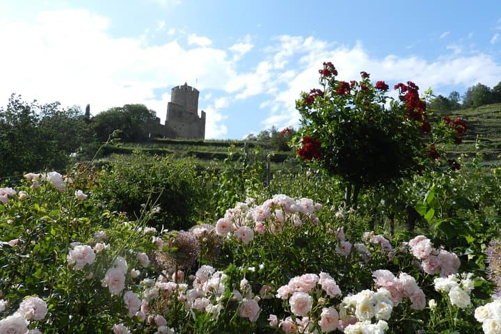 Alsace Wine Route Safari from Colmar — Day Tour with Perfume Workshop photo 5