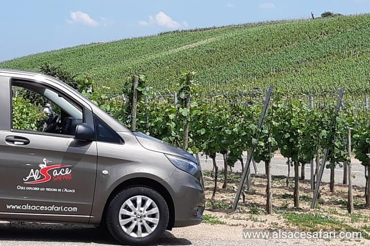 Alsace Wine Route Safari from Colmar — Day Tour with Perfume Workshop photo 2