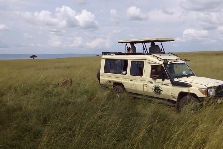 Tarangire National Park Day Safari: Elephants, Baobabs & River Game Drives photo 3
