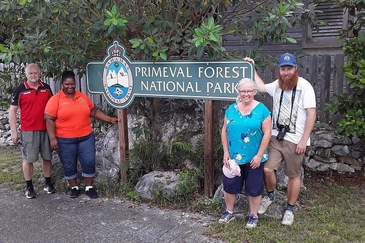 Private VIP Nassau Cultural & Beach Tour — Museums, Forts & Local Flavors photo 2