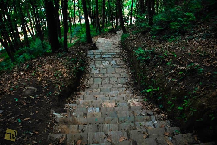 Jamacho Day Hike: Shivapuri Views & Kathmandu Valley Walk photo 4