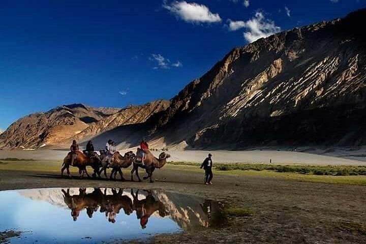 Leh Ladakh Tour: 6-Day High-Altitude Road Journey to Pangong, Nubra & Khardung La