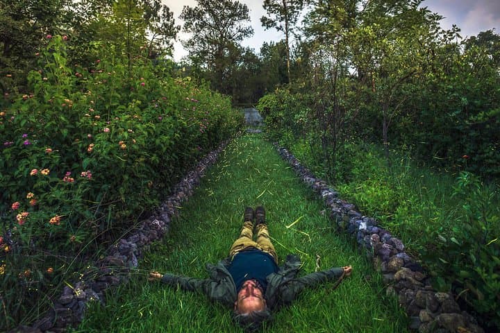 Totláli Fireflies Sighting: Night Walk and Firefly Mating Display in State of Mexico photo 3