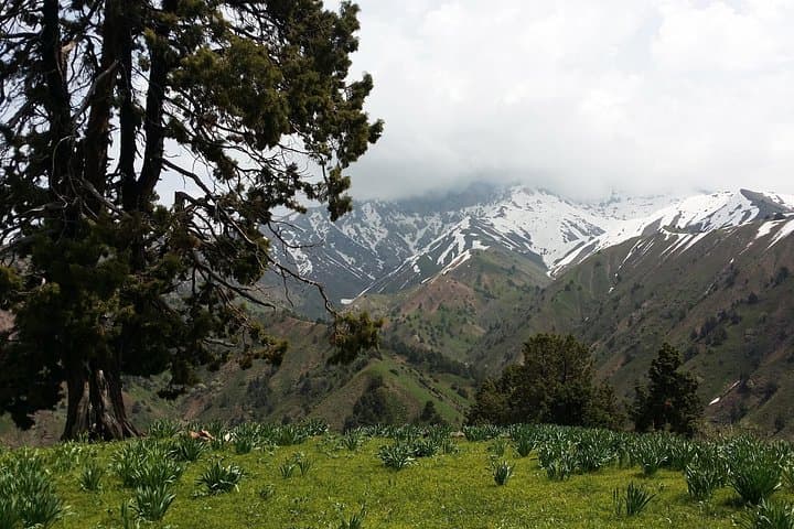 3-Day Chimgan Trek: Western Tien Shan Multi-Day Hike from Tashkent photo 4