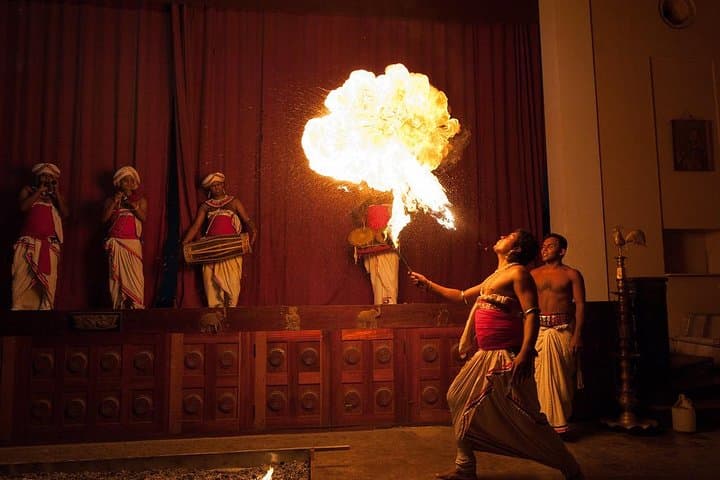 Sri Lanka North East Tour — 10 Nights of Heritage, Safari & East Coast Beaches