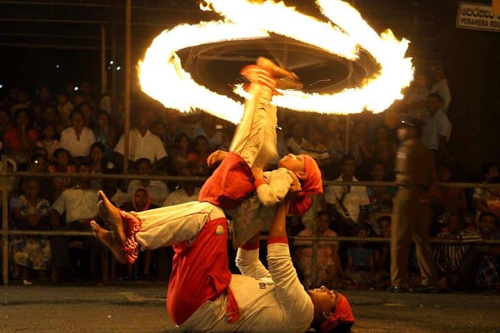 Sri Lanka North East Tour — 10 Nights of Heritage, Safari & East Coast Beaches photo 4