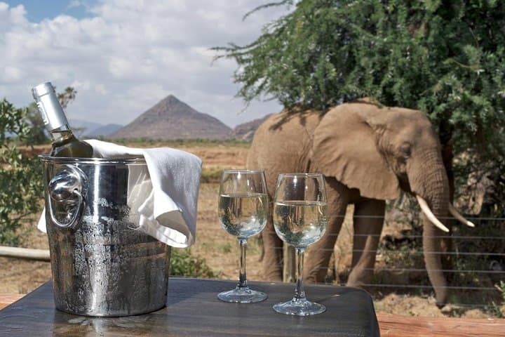 7-Day Kenya Safari: Samburu, Aberdare, Lake Nakuru & Maasai Mara Wildlife Tour photo 6
