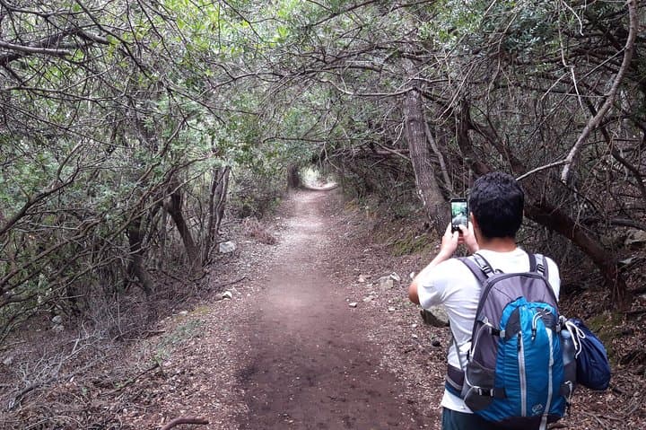 Gorropu Gorge Hike: Explore Italy's Deepest Canyon in Sardinia photo 4