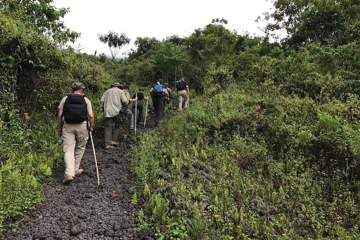 Mount Bisoke Crater Lake Hike — Day Trip from Musanze photo 3