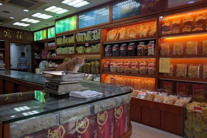 Custom Hong Kong Private Tour — City Corners, Peaks & Local Secrets