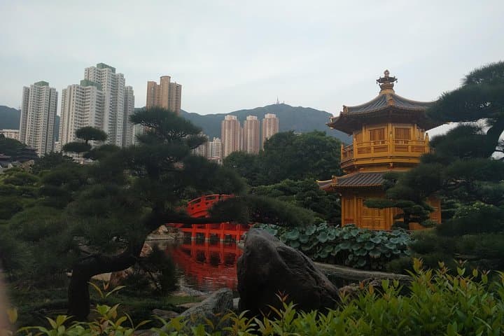 Custom Hong Kong Private Tour — City Corners, Peaks & Local Secrets photo 4
