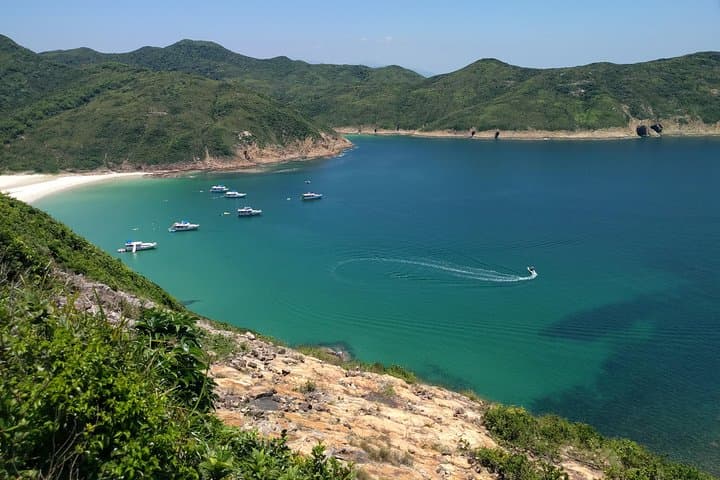 Custom Hong Kong Private Tour — City Corners, Peaks & Local Secrets photo 6