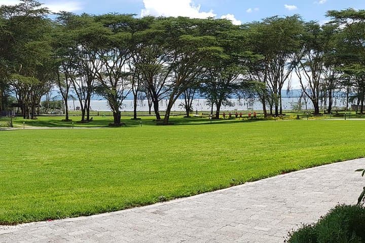 Half-Day Mini Safari to Naivasha: Lake, Crater & Crescent Island photo 4