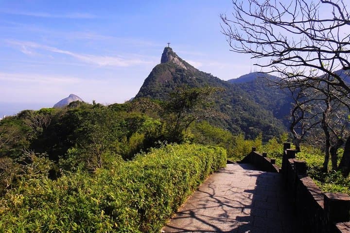 Tijuca Forest, Botanical Garden & Parque Lage — Half-Day Private Tour in Rio