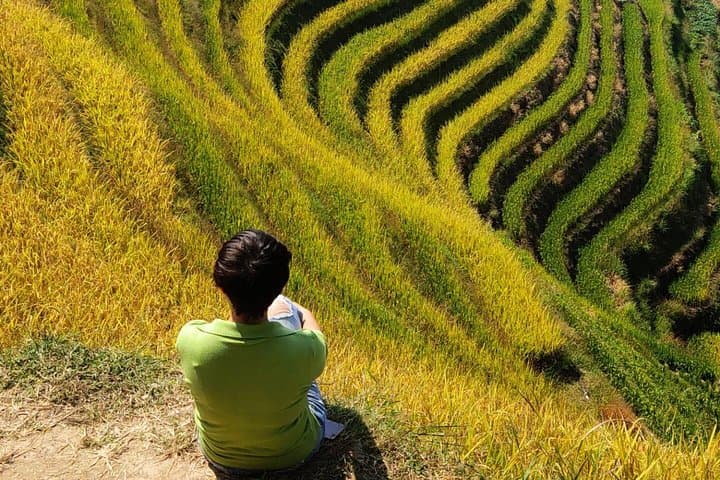 Dragon's Backbone: Longji Rice Terraces Day Tour from Yangshuo