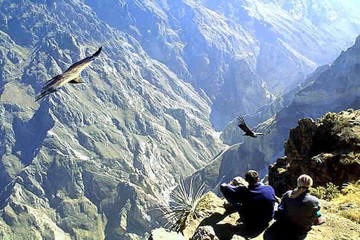 Full-Day Colca Canyon Tour from Arequipa: Condors, Hot Springs & Andean Views