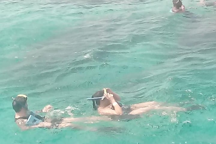 Private Snorkel Tour from Falmouth: Reefs, Wildlife & Beach Time photo 3
