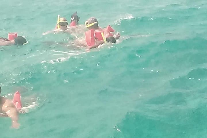 Private Snorkel Tour from Falmouth: Reefs, Wildlife & Beach Time photo 4