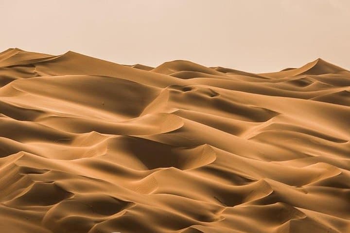 Liwa Desert Safari from Dubai: Full-Day 4x4 Dune Adventure with Lunch photo 3