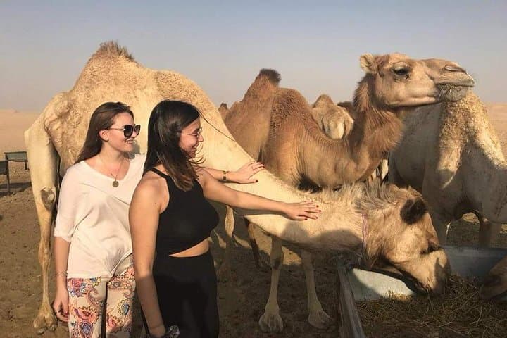 Liwa Desert Safari from Dubai: Full-Day 4x4 Dune Adventure with Lunch photo 2