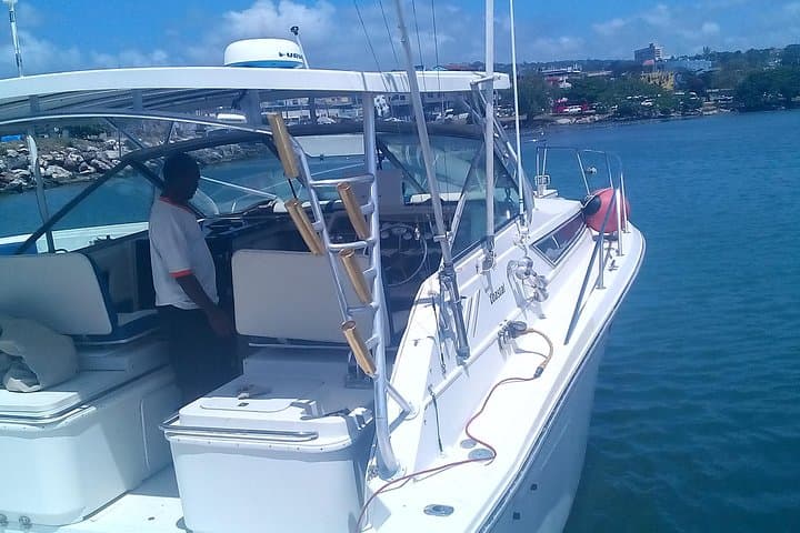 Private Snorkel Tour from Falmouth: Reefs, Wildlife & Beach Time photo 6