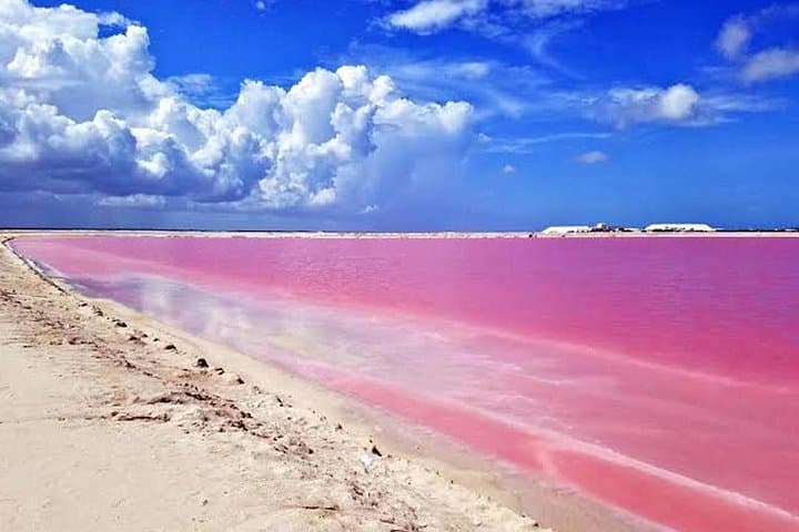 Las Coloradas & Río Lagartos: Pink Lakes, Mangroves, and Mayan Mud Baths from Cancun photo 4