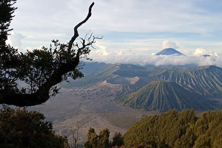 Bromo, Madakaripura & Ijen: 3-Day Volcano, Waterfall and Blue Fire Adventure photo 2