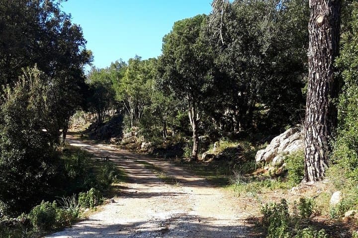 Hike the Tacchi of Osini: Nuraghi, Caves and Plateau Views photo 5