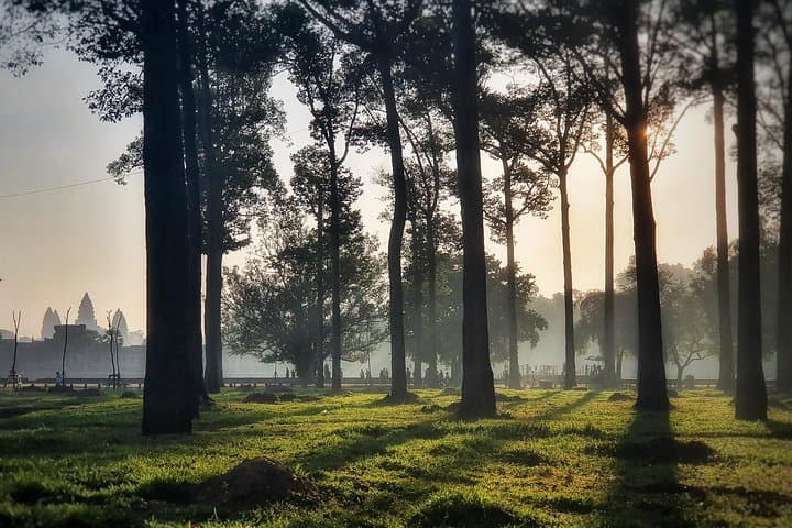 Private Angkor Wat Sunrise Tour with Professional Guide — Angkor Temples & Ta Prohm photo 6