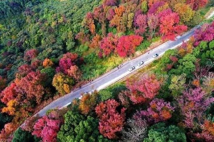Shimen Forest & Conghua Hot Spring: Private Day Tour from Guangzhou photo 5