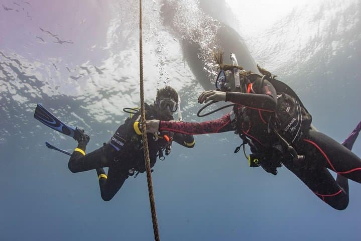 PADI Open Water Diver Course in Trincomalee — Beginner Scuba Certification photo 2
