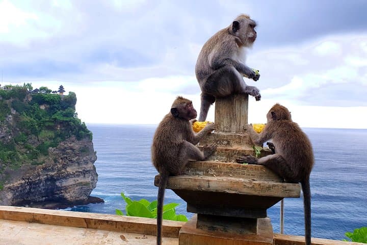 Uluwatu Sunset & Kecak: A One-Day Bali Coastal Adventure photo 6