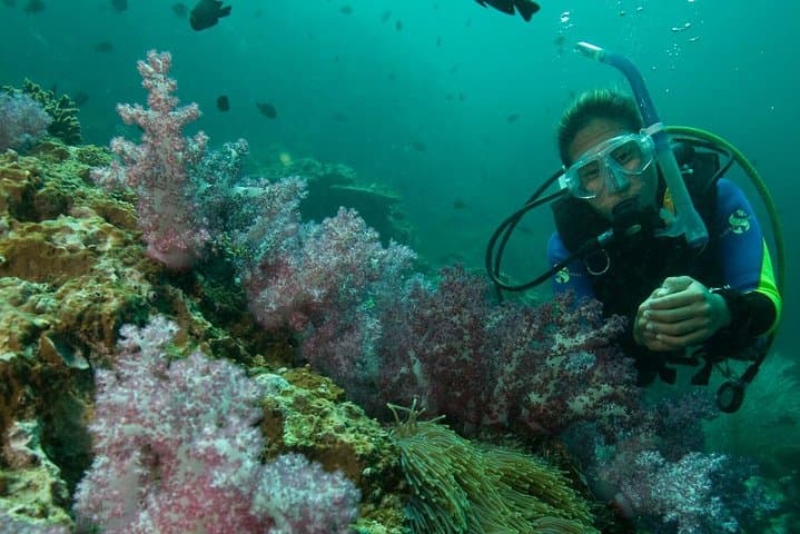 PADI Scuba Diver Course in Sri Lanka: Learn to Dive on the Indian Ocean