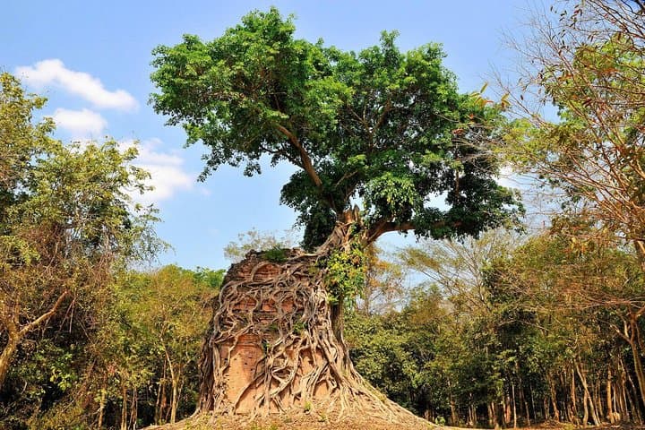 Private Sambor Prei Kuk & Spean Praptos Guided Tour from Siem Reap photo 4