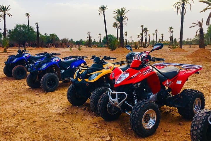 Quad Biking in Marrakech Palmeraie — Desert Tracks, Berber Tea & Atlas Views photo 2
