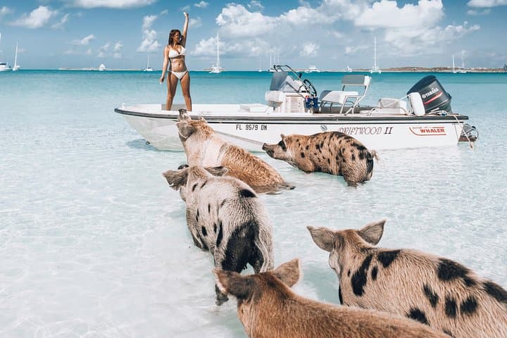 Exuma Elite Escape: Fly-In Swimming Pigs, Thunderball Grotto & Sandbar Snorkel photo 3