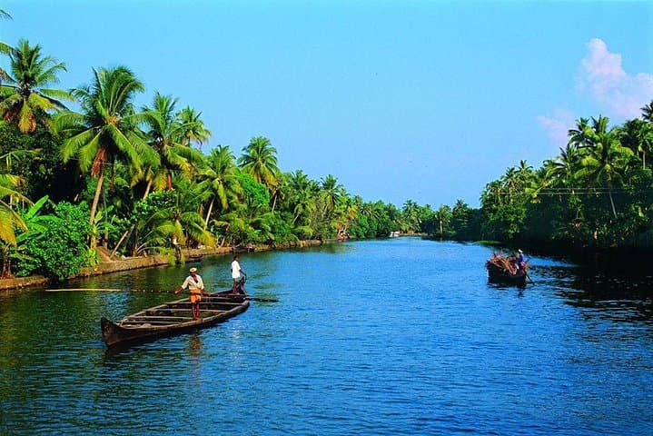 Kerala 8-Day Private Luxury Tour: Munnar, Periyar, Backwaters & Kovalam Houseboat photo 2