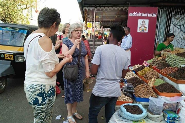 Kerala 8-Day Private Luxury Tour: Munnar, Periyar, Backwaters & Kovalam Houseboat photo 3