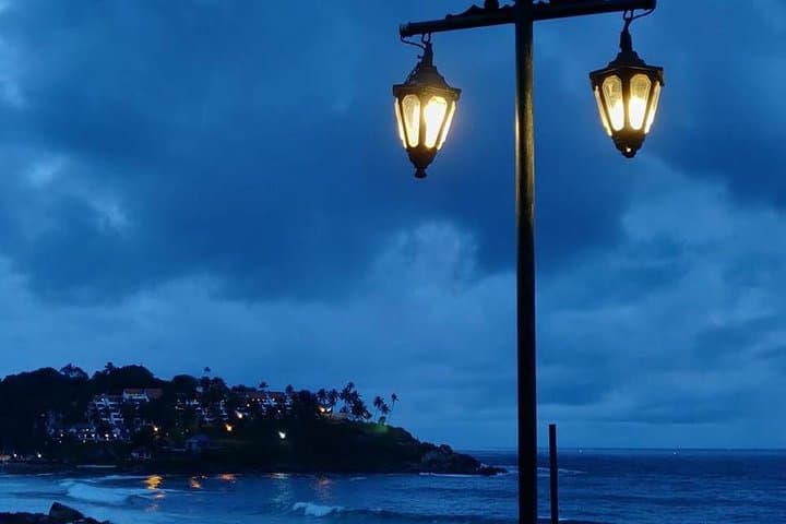 Kerala 8-Day Private Luxury Tour: Munnar, Periyar, Backwaters & Kovalam Houseboat photo 4