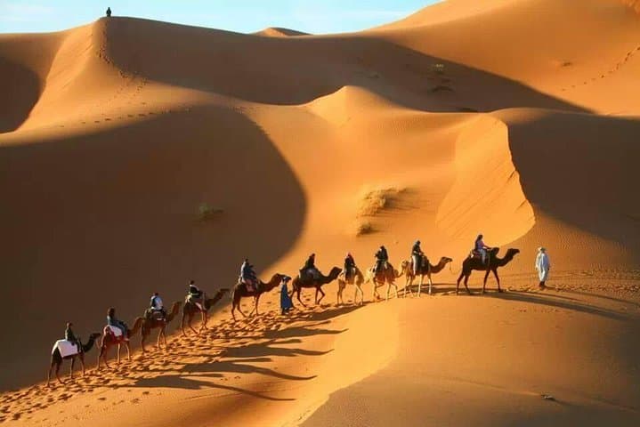 Marrakech to Merzouga: 3-Day Sahara Camel Trek & Camp photo 6