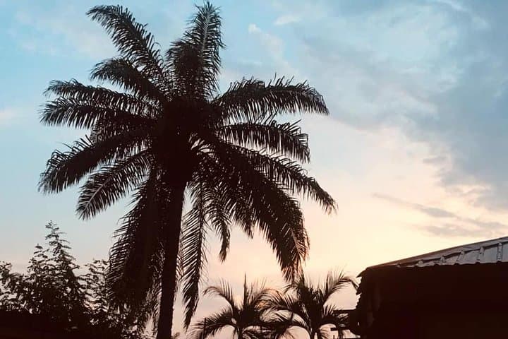 Magic Christmas in Kinshasa: A Two-Hour Cultural City Tour photo 4
